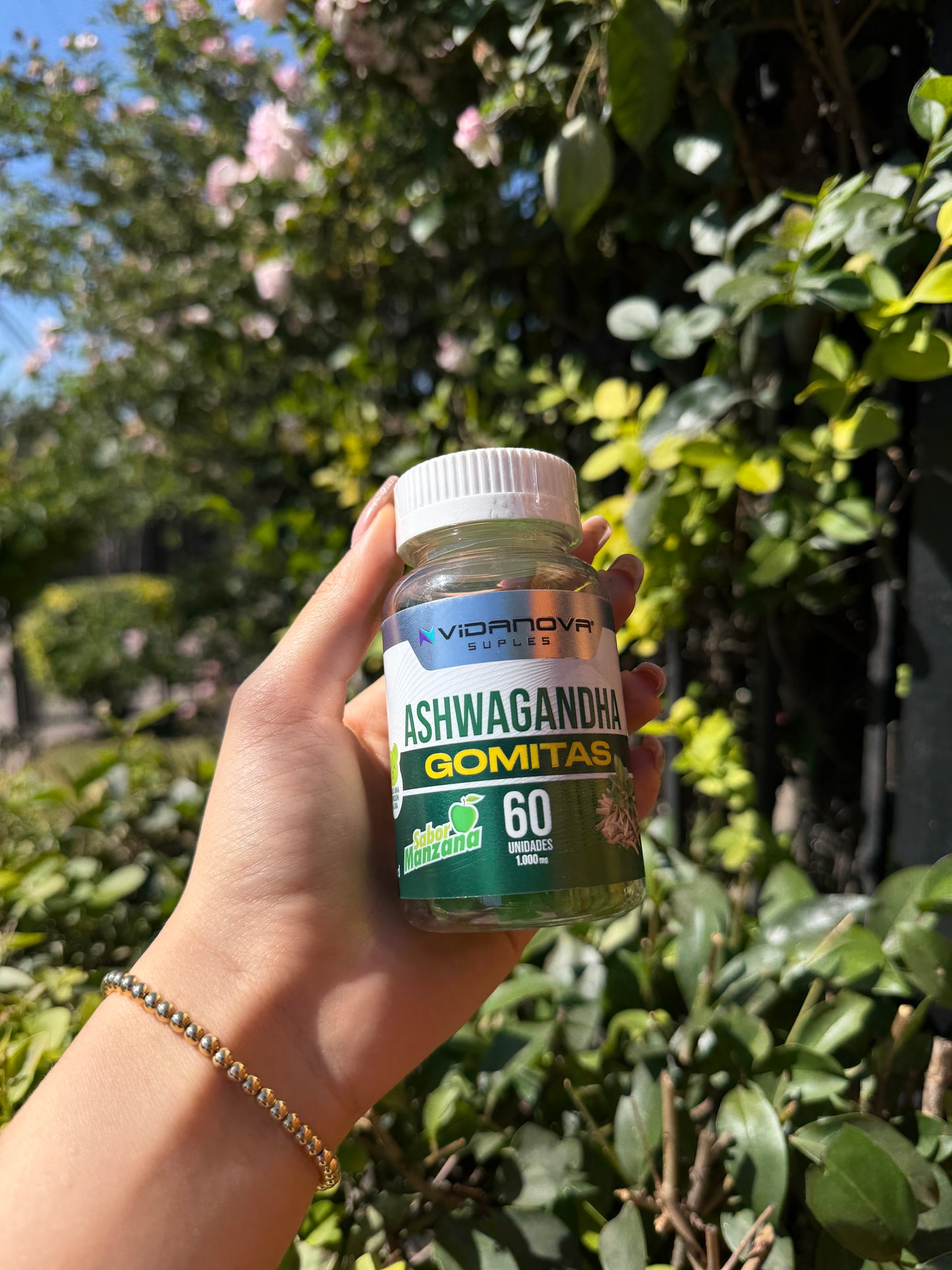 Vidanova™ Calm Gummies – Relájate naturalmente