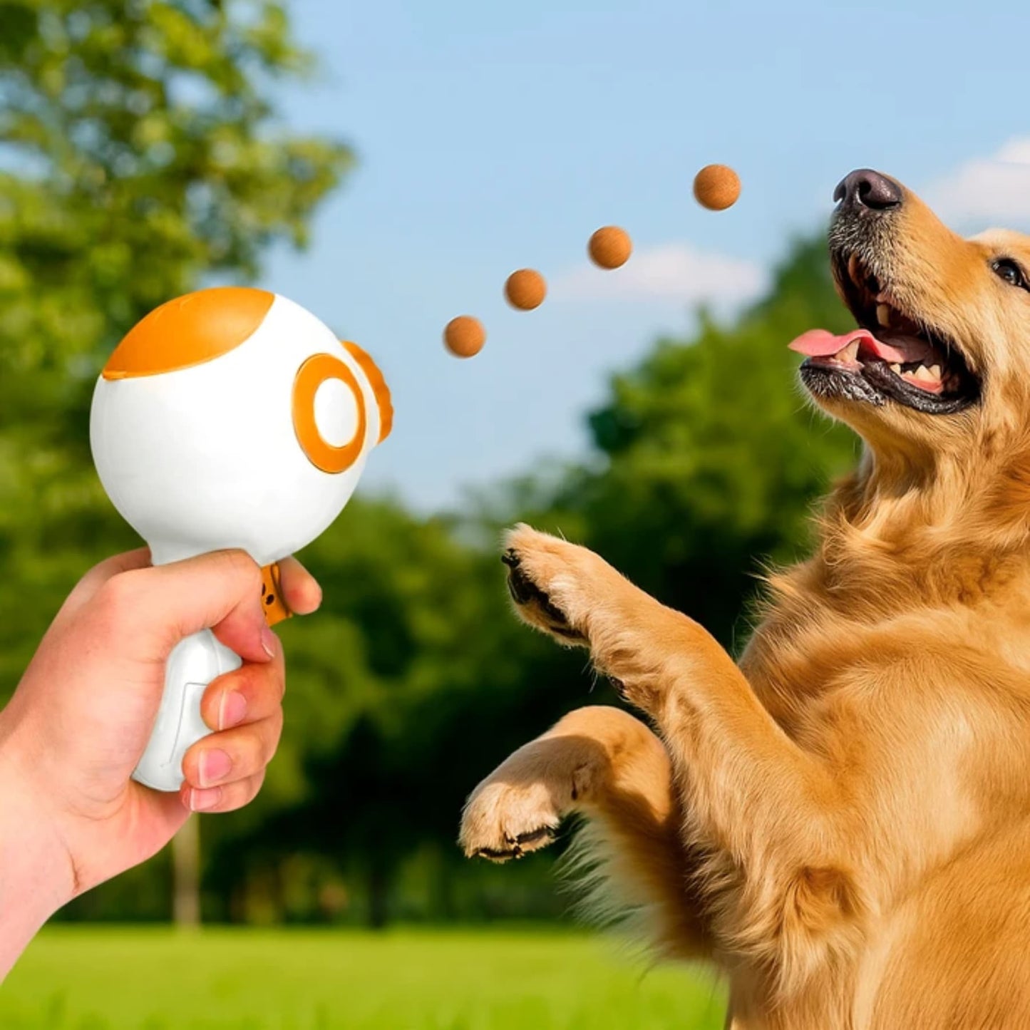 SnackShot™ – Diversión y premios